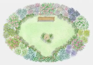 Images Dated 13th July 2009: Illustration of herbs used as edging in rose garden surrounding lawn
