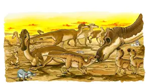 Herbivorous Prints: Illustration of herd of adult and young Hypsilophodon dinosaurs
