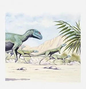 Illustration of a herd of Lesothosaurus on the move, early Jurassic period