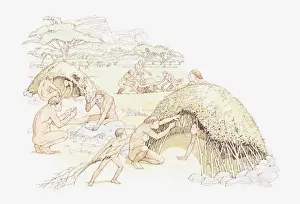 Illustration of Homo habilis settlement at Olduvai Gorge, Tanzania