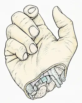 Intricacy Prints: Illustration of human hand with cross section at wrist showing arteries, veins and nerves