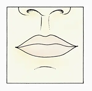 Illustration of human lips and nose, close-up
