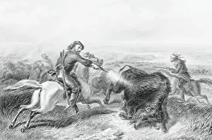 Illustration of Hunter Shooting Buffalo