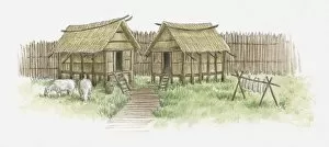 Illustration of huts, and sheep grazing in European village inside enclosure, c.6000 bc