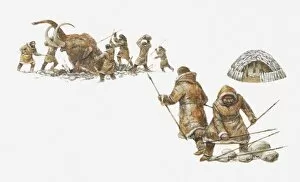 Images Dated 15th December 2011: Illustration of Ice Age hunters killing a mammoth