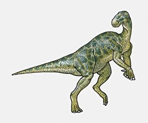 Images Dated 15th February 2010: Illustration of Iguanodon ornithopod dinosaur