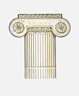 Images Dated 29th April 2010: Illustration of Ionic column