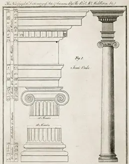 Ionic Prints: Illustration of Ionic Order of Columns
