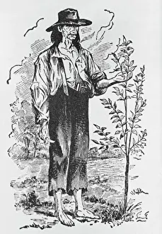 Apple Tree Prints: Illustration of Johnny Appleseed