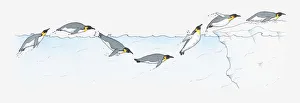 Swimming Gallery: Illustration of King Penguin Aptenodytes patagonica diving and swimming