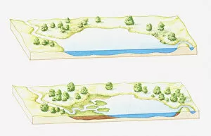 Sequences Collection: Illustration of a lake being filled with sediment deposited by rivers, eventually forming a marsh