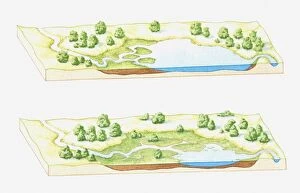 Changing Gallery: Illustration of a lake being filled with sediment deposited by rivers, eventually forming a marsh
