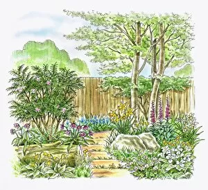 Garden Path Collection: Illustration of a landscaped woodland garden