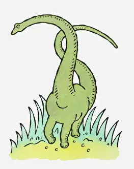 Neck Prints: Illustration of large green dinosaur with long neck and tail