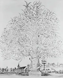 Illustration of Lee Family Tree