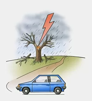 Images Dated 29th October 2009: Illustration of lightning flash above tree