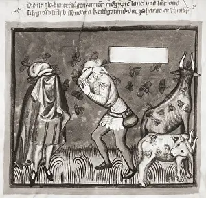 14th Century Prints: Illustration of Locust Plague