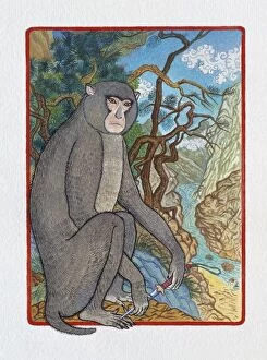 Images Dated 27th August 2009: Illustration of Lonely Monkey, representing Chinese Year Of The Monkey