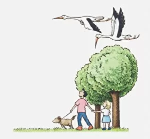Illustration of a man, girl and dog walking near some trees, looking up at a couple of storks flying past