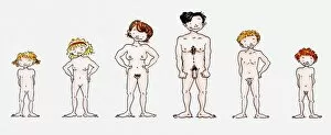 Development Collection: Illustration of a man, a women and children in the nude, front view