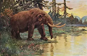 Illustration of Mastodon Walking Toward Lake