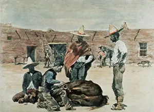 Illustration of Mexican Cowboys Shoeing a Horse by Frederic Remington
