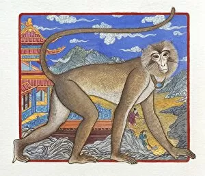 Images Dated 27th August 2009: Illustration of Monkey Climbing up the Mountain, representing Chinese Year Of The Monkey
