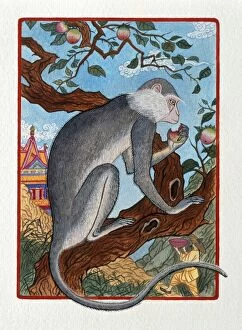 Images Dated 27th August 2009: Illustration Monkey in the Fruit Tree, representing Chinese Year Of The Monke