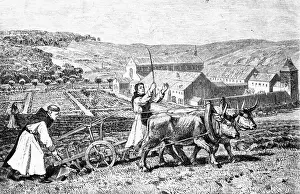 Illustration of Monks Plowing a Field