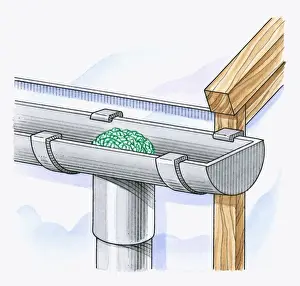 Illustration of moss growing in roof gutter blocking entrance to drainpipe