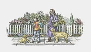 Images Dated 3rd November 2009: Illustration of mother and daughter walking adult dog and puppy on pavement