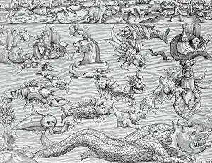 Lobster Prints: Illustration of Mythical Sea Monsters by Sebastian Munster