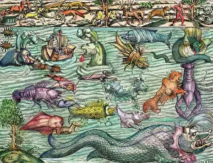 Lobster Prints: Illustration of Mythical Sea Monsters by Sebastian Munster