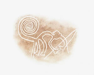 Drawing Collection: Illustration of Nazca Line monkey drawing in desert sand, Nazca Lines, Nazca, Peru