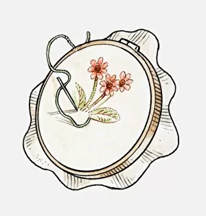 Images Dated 30th April 2010: Illustration of needle and thread on embroidery hoop