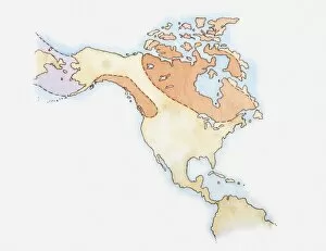 Illustration of North America and Greenland with areas covered in ice highlighted in red, land bridge in purple, c
