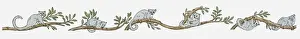 Sequential Series Prints: Illustration of Northern Greater Galago (Otolemur Garnettii) climbing through branches of jungle tre