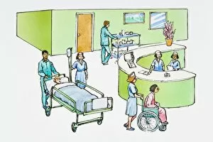 Illustration of nurse work station, porter pushing patient in bed, nurse wheeling patient in wheelchair