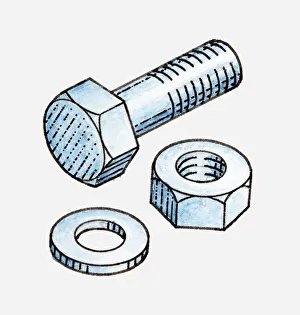 Images Dated 26th April 2010: Illustration of nut, bolt and washer