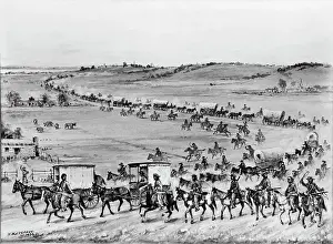 Mule Prints: Illustration of Oregon Trail Wagon Caravan