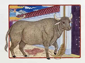 The Zodiac Prints: Illustration of Ox Inside the Gate, representing Chinese Year Of The Ox