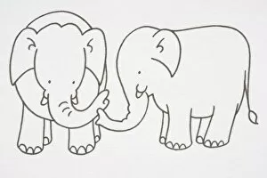 Images Dated 16th August 2006: Illustration, pair of Elephants, trunks touching, side view