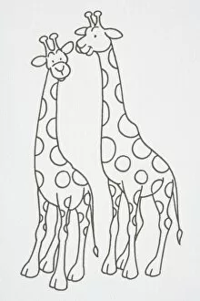 Safari Animals Gallery: Illustration, pair of smiling Giraffes