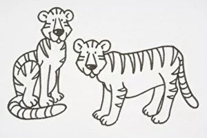 Safari Animals Gallery: Illustration, pair of Tigers, one sitting and the other standing, side view