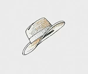 Images Dated 3rd November 2009: Illustration of Panama hat made from jipijapa leaves