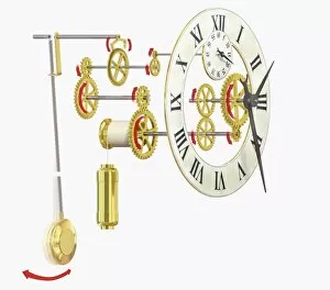 Illustration of the parts of a long-case pendulum clock