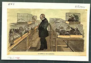 Illustration of Pasteur Taking Notes on Animals in his Laboratory