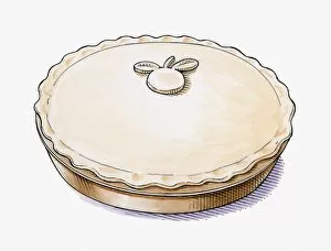 Images Dated 1st October 2009: Illustration of pastry apple on a pie to identify when cooked