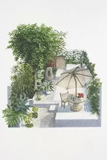 Illustration, patio garden with lush vegetation and climbers growing along the sides