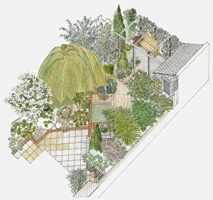Images Dated 26th February 2010: Illustration of a paved garden, containing various trees, including a weeping willow, shrubs